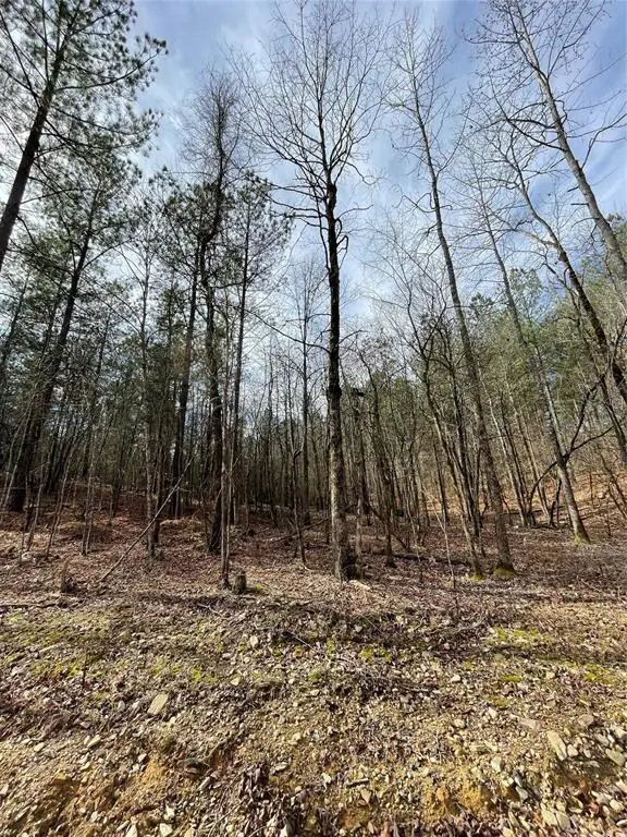 768 Timber Creek Trails South XI, Broken Bow, OK 74728