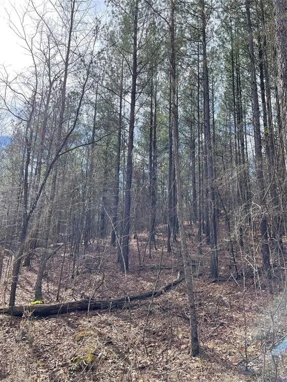 769 Timber Creek Trails South XI, Broken Bow, OK 74728