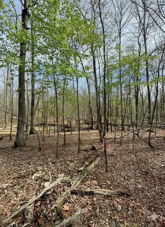 770 Timber Creek Trails South XI, Broken Bow, OK 74728