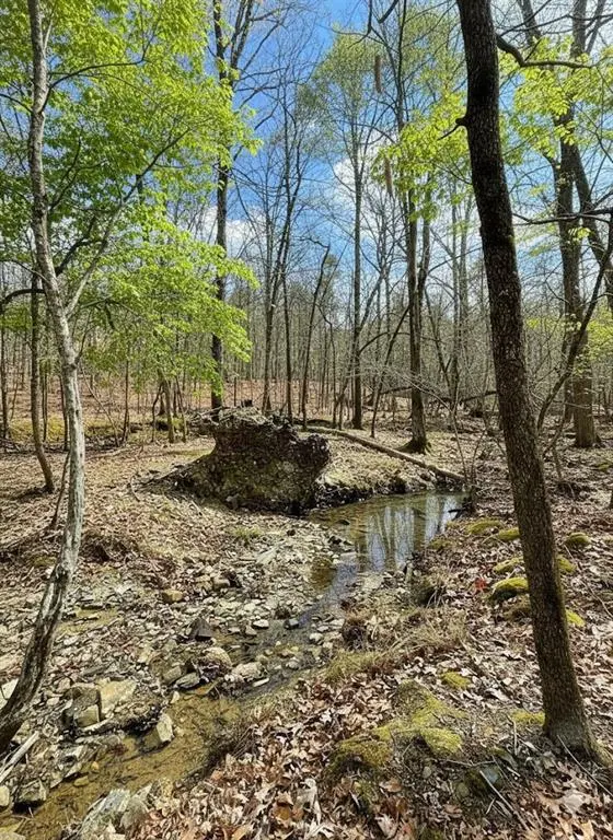 771 Timber Creek Trails South XI, Broken Bow, OK 74728