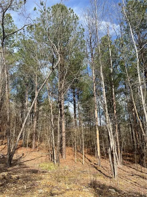 774 Timber Creek Trails South XI, Broken Bow, OK 74728