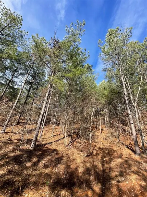 776 Timber Creek Trails South XI, Broken Bow, OK 74728