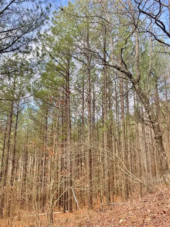 777 Timber Creek Trails South XI, Broken Bow, OK 74728