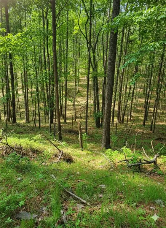 778 Timber Creek Trail South XI, Broken Bow, OK 74728