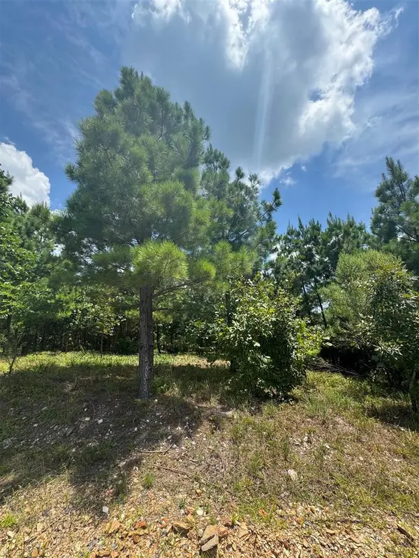 20 Charmed Ridge LN, Broken Bow, OK 74728