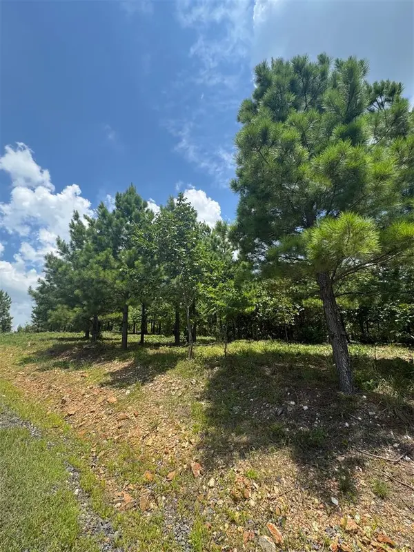 20 Charmed Ridge LN, Broken Bow, OK 74728