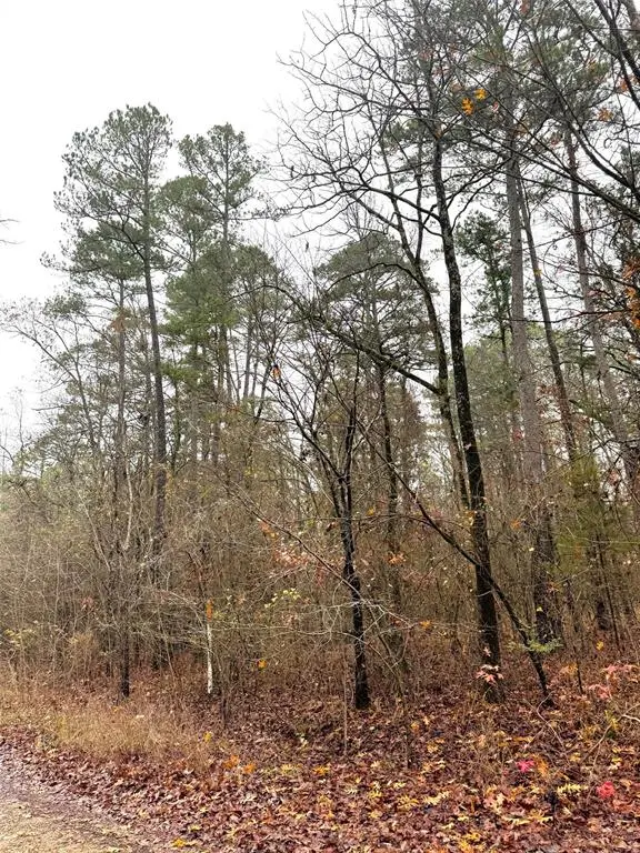 209 Timber Creek TRL, Broken Bow, OK 74728