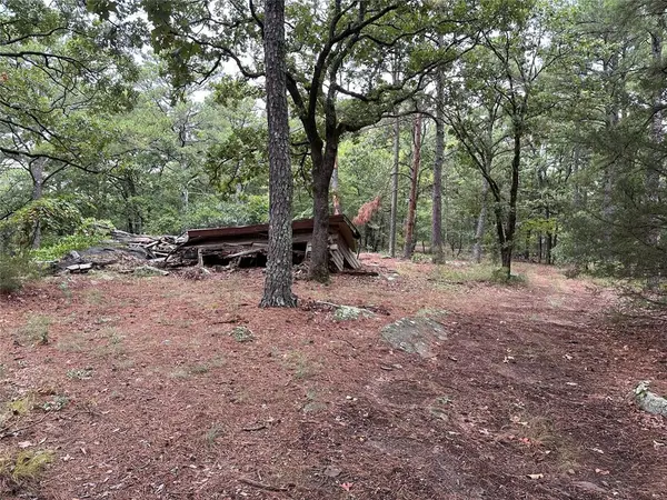 123 Sherman RD, Moyers, OK 74523