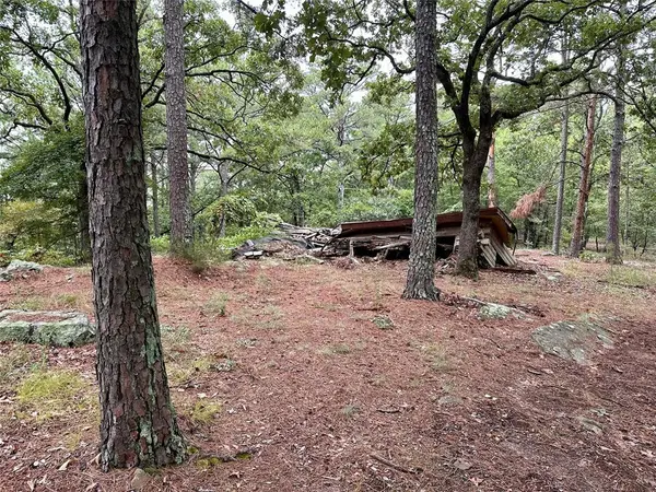 123 Sherman RD, Moyers, OK 74523