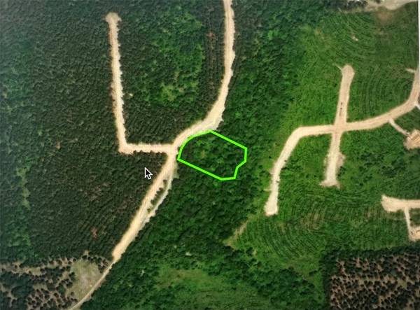 268 Green Olive TRL, Broken Bow, OK 74728