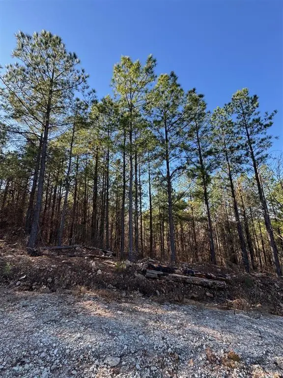 73 Elmwood CT, Broken Bow, OK 74728