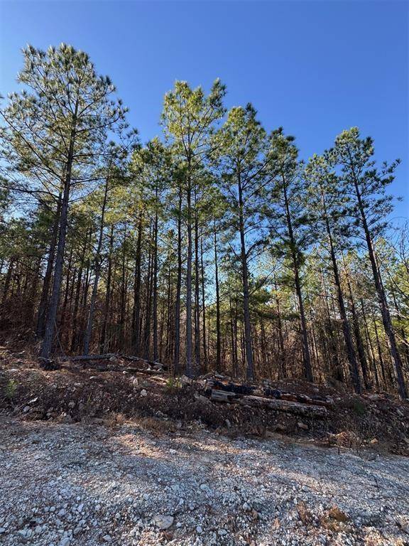 73 Elmwood CT, Broken Bow, OK 74728