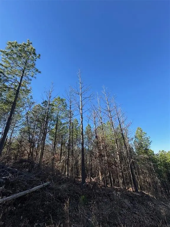 79 Vine CT, Broken Bow, OK 74728