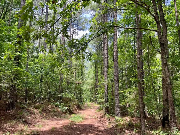60 Trout Creek RD, Watson, OK 74963