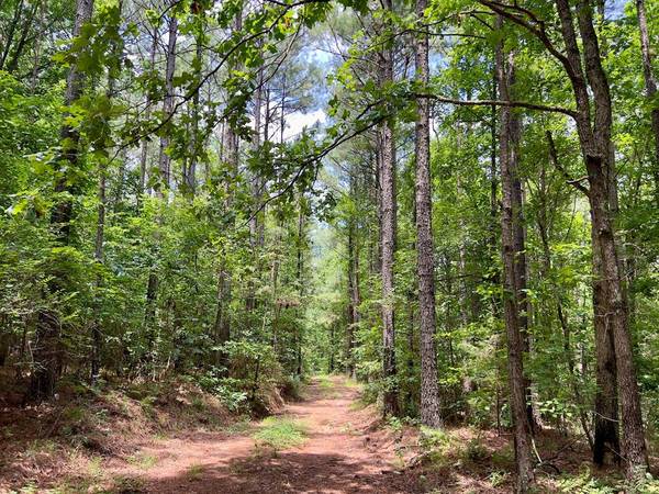 60 Trout Creek RD, Watson, OK 74963