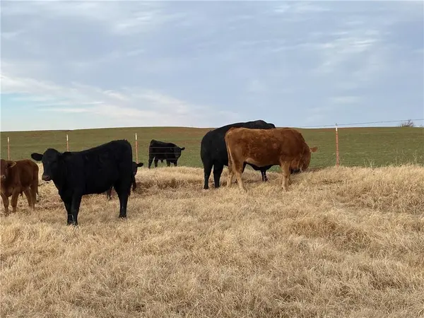 4800 Old Farm RD, El Reno, OK 73036