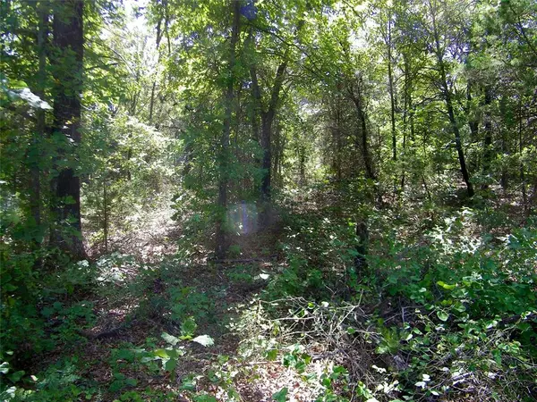 00 Howard Road, Macomb, OK 73051