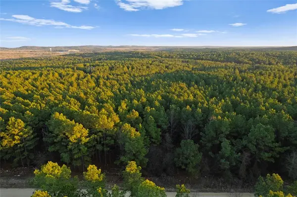 456 Pine Hills Lot 129 Track 2 RD, Broken Bow, OK 74728