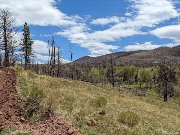 951 Van Fossan Lane, Fort Garland, CO 81133