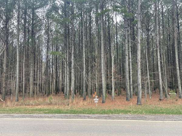 0 Crockett Pointe, Jasper, TN 37347