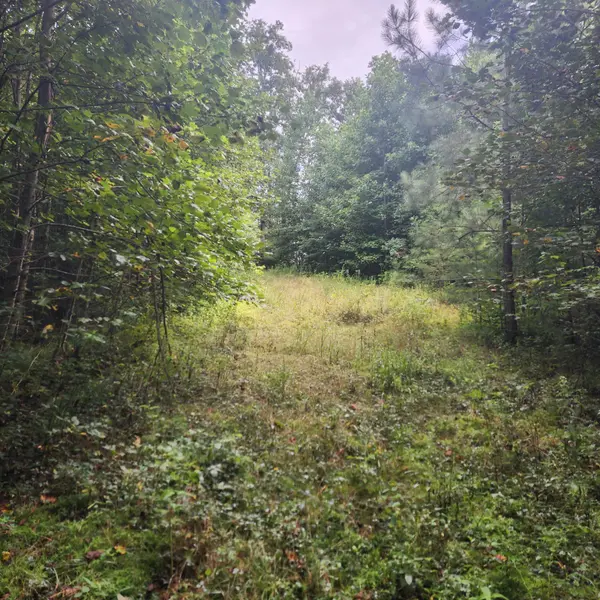 0 SR 108, Gruetli Laager, TN 37339