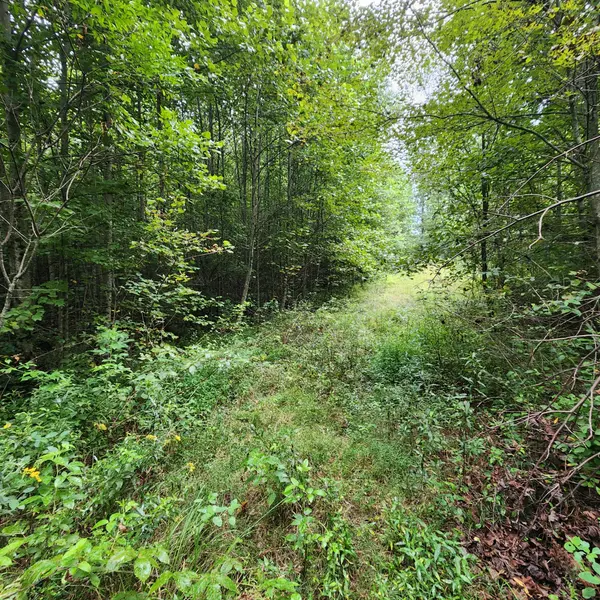 0 SR 108, Gruetli Laager, TN 37339