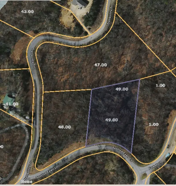 49 Spotted Fawn Ln, Dandridge, TN 37725
