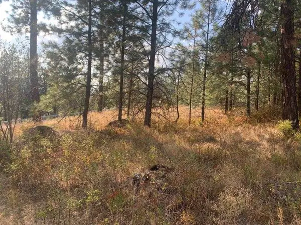 1618 Palmer LOOP, Chewelah, WA 99109