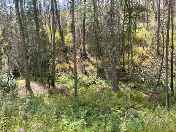 Lot 11 Rail Canyon Rd, Springdale, WA 99173