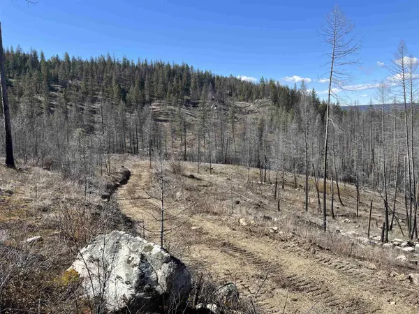 Lot 1 Rail Canyon Rd, Springdale, WA 99173