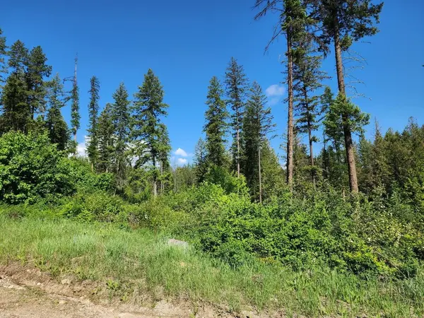 Lot 4 Matsen Creek Rd, Kettle Falls, WA 99141-0000