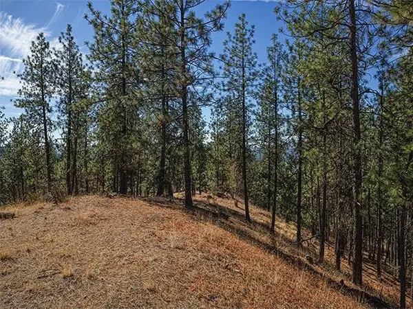 TBD Raven Ridge St, Nine Mile Falls, WA 99026