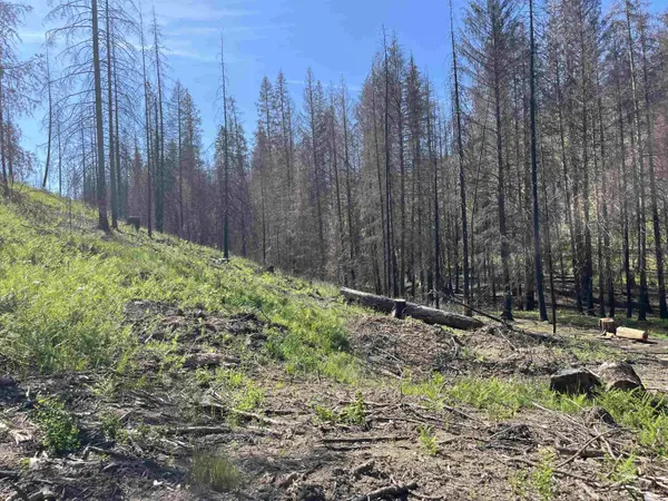 XXXXX N Jackson Rd, Elk, WA 99009