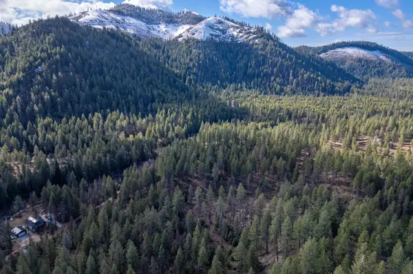 41XX Grouse Creek Rd, Loon Lake, WA 99148