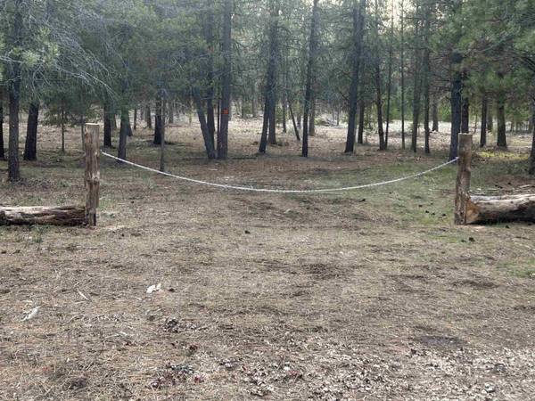 xxx N Division Rd, Deer Park, WA 99006