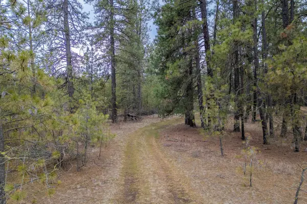 8700 S Stangland St, Medical Lake, WA 99022