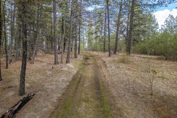 8700 S Stangland St, Medical Lake, WA 99022