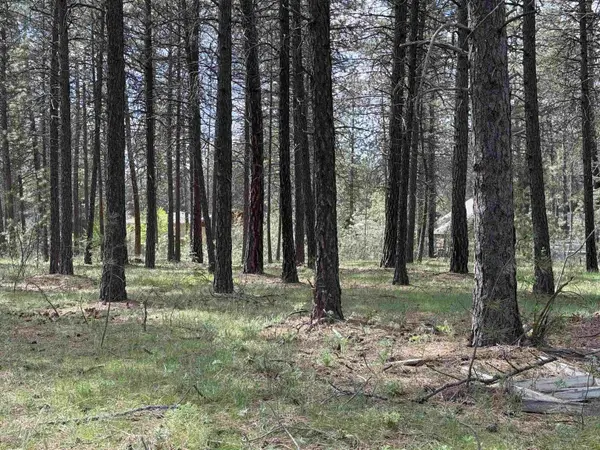 177XX N Saddle Hill Rd, Colbert, WA 99005
