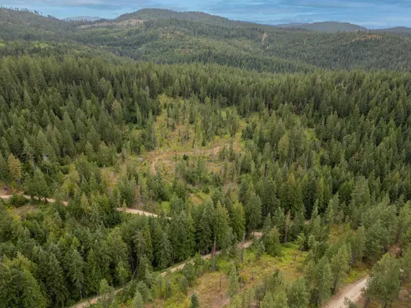 XX N Deer Ln, Mead, WA 99021