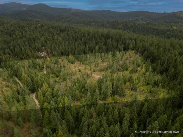 XX N Deer Ln, Mead, WA 99021