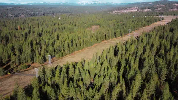 NKA N Hardesty Rd, Chattaroy, WA 99005