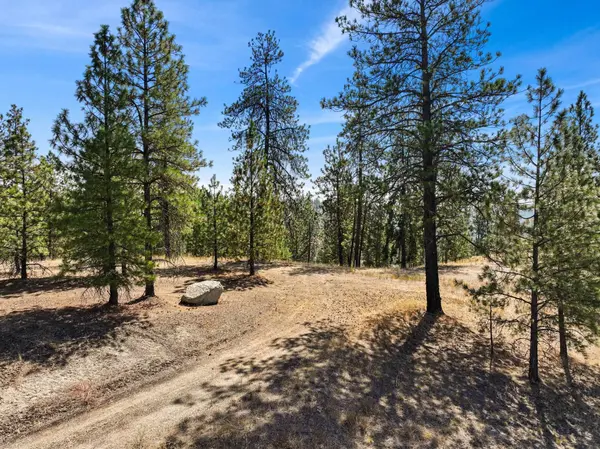 NKA N Cliff Ln #27344.9136, Spokane, WA 99208