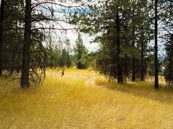 755 Conrad Hill WAY, Colville, WA 99114