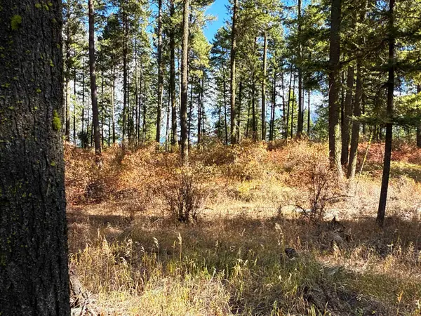 755 Conrad Hill WAY, Colville, WA 99114