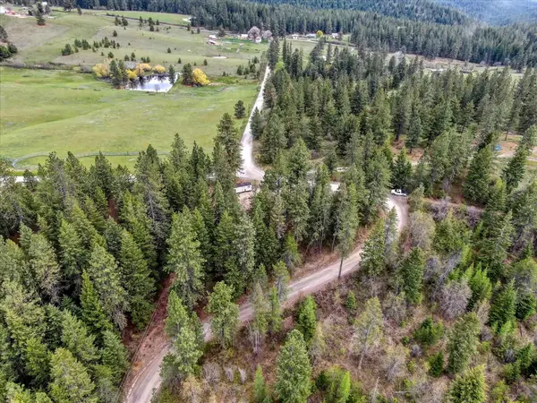 29110 N Conklin Rd, Chattaroy, WA 99003