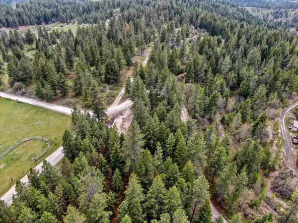 29110 N Conklin Rd, Chattaroy, WA 99003