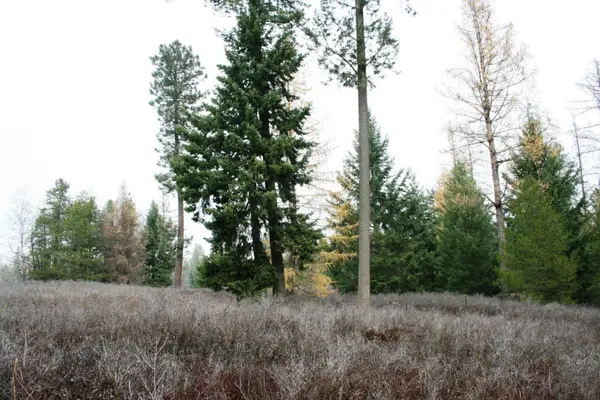 00 Dahl Lot 8 Rd, Deer Park, WA 99006