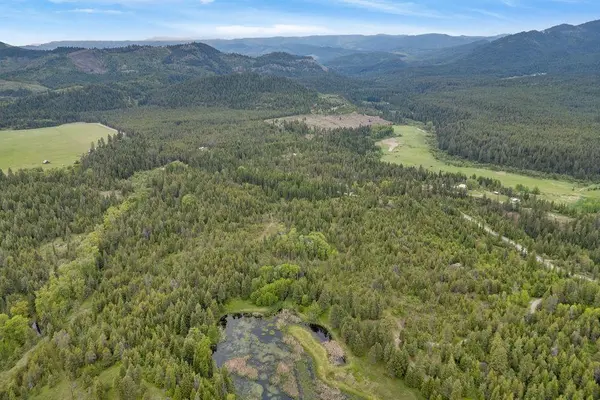 000 Hesseltine Lot 1 Rd, Valley, WA 99181