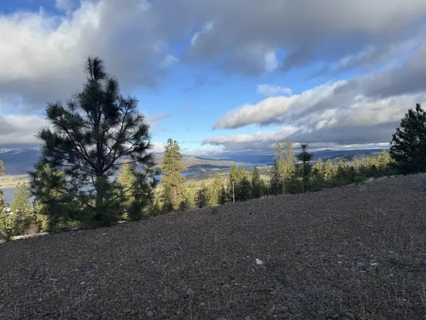 39909 Mattox Way N, Davenport, WA 99122