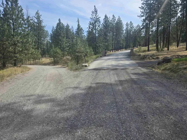XX Syringa WAY, Nine Mile Falls, WA 99026